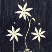 Simbelmynë