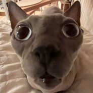 MyNameIsErrl