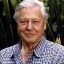 David Attenborough