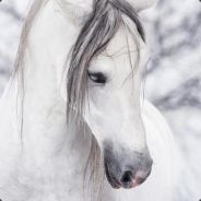 Miss_Volcanik