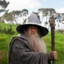 Gandalf.Png