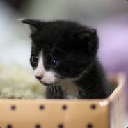 办证刻章's Avatar