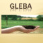 mr.gleba