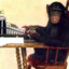 EL chimpescritor