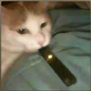 krecikxD