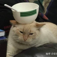 przedmioto-trzymacz gormita