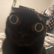 booba