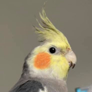aph