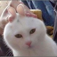 ๑  玛奇玛  ๑