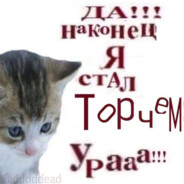плебо картинг
