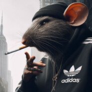 .:Razz:.