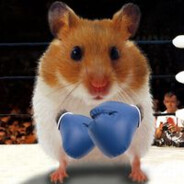 HAMSTER TYSON