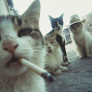 Steam Community Avatar