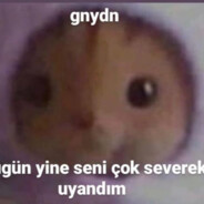 med