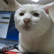 TqnkuS