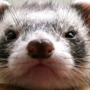 dontk1llme #SodyRust