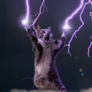 Harry Piotr's Avatar