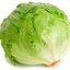 Lettuce