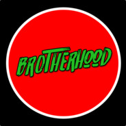 The Brother Hood of Spys