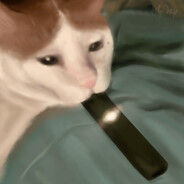 Guchy avatar