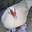 Group Avatar