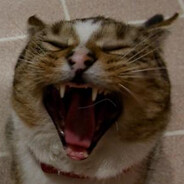 Аватар сообщества Steam