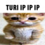 Turi ip ip ip