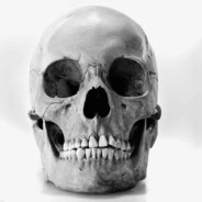 kro prochital tot gay