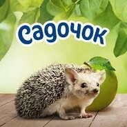 Віршики до миколая садочок