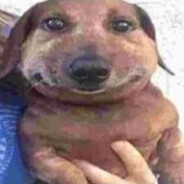 Райан Гослинг Райан Гослинг