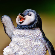 Peng Peng Han Penguin