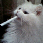 -vivi-