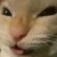 BENADON