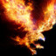 fire eagle's avatar