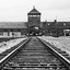 AuschwitzBirkenau