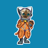 Space Cat avatar