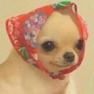 Smol Pupushka