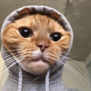osku