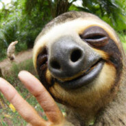 Slick Sloth's Steam Avatar