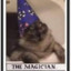 Magiciancat