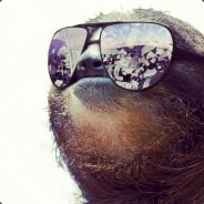 Monky Lord