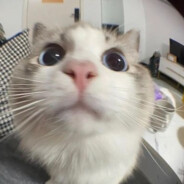 Doanify