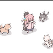 猫猫老航天