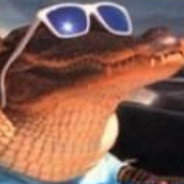CoolCroc