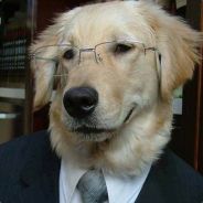 Blaskovitch's Avatar