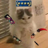 ✞𝐤𝐚r𝐨𝐥ek_CSGOSKINS