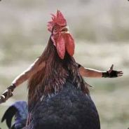 slayer.be