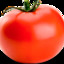 ⑳ Tomatão da massa