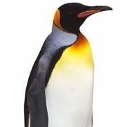 penguin that sends GOD to gulag