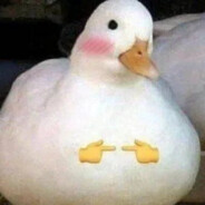 NaughtyDuck